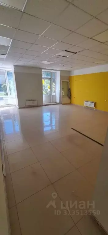 Помещение свободного назначения в Тульская область, Новомосковск ул. ... - Фото 1