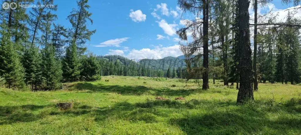 Дом в село Черга, улица Осипова (24 м) - Фото 1