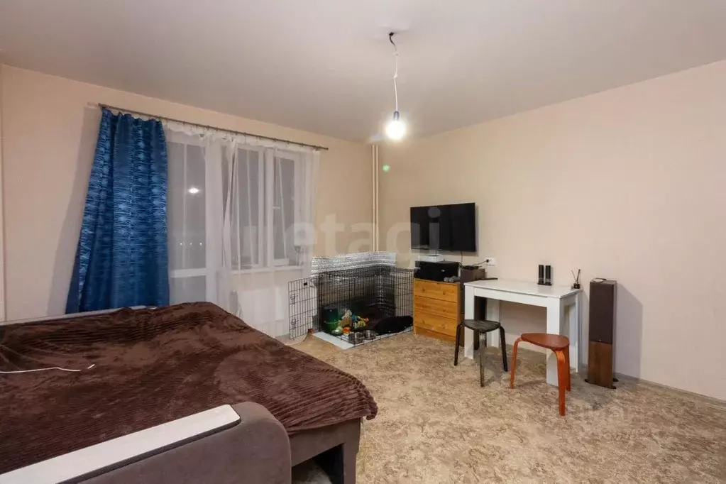 Студия Красноярский край, Красноярск ул. Шевченко, 1А (28.44 м) - Фото 1