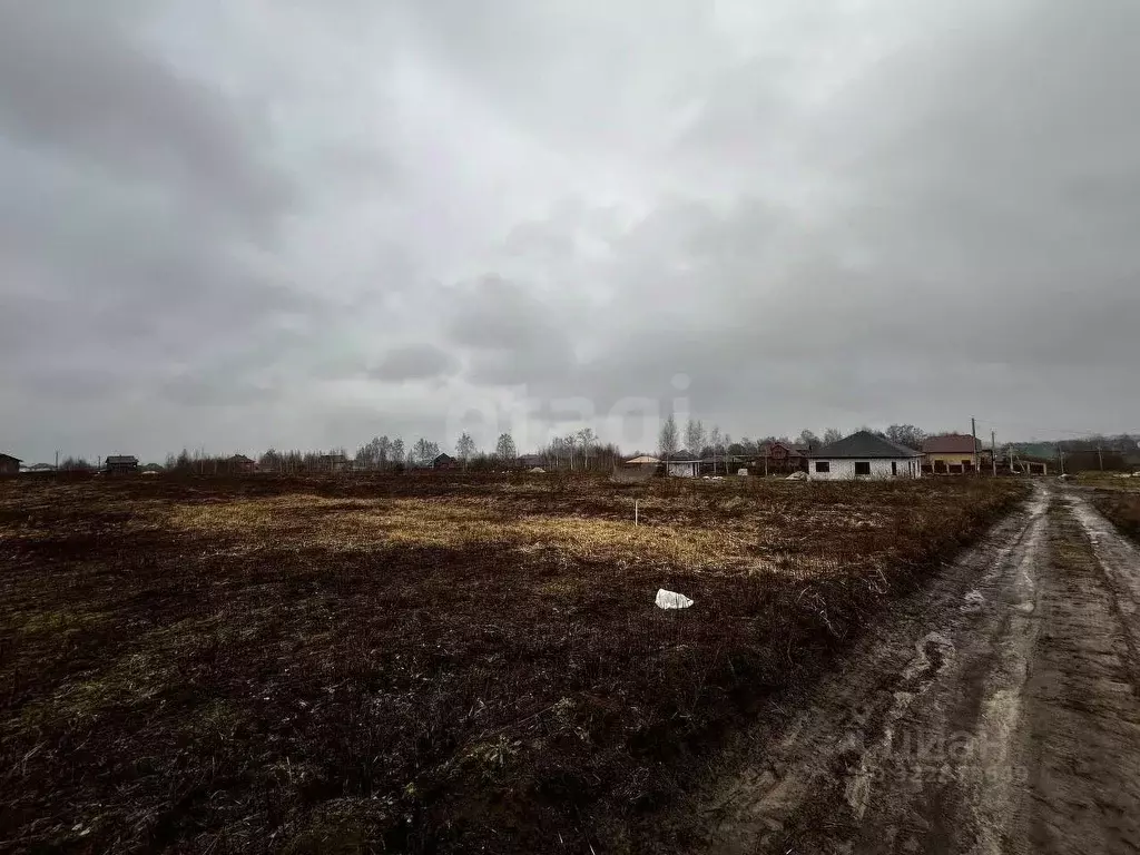 Участок в Брянская область, Брянский район, Отрадненское с/пос, с. ... - Фото 1