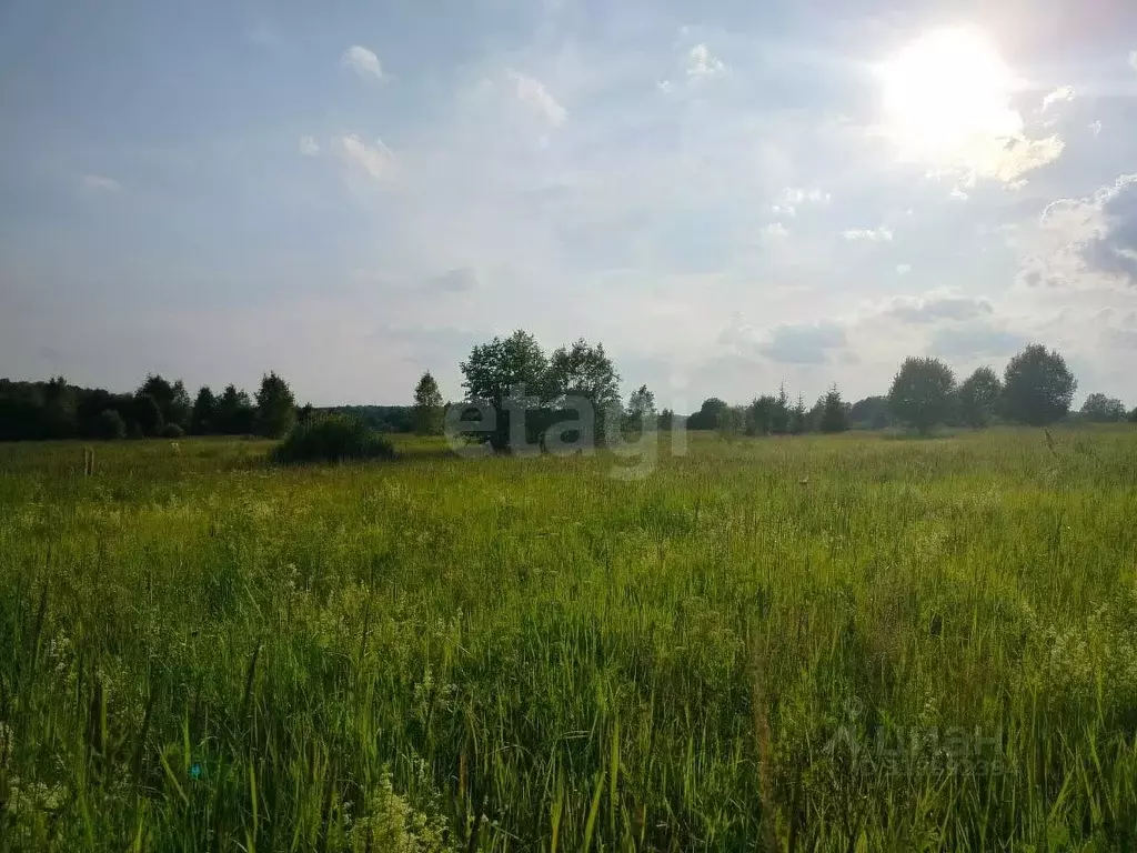 Участок в Владимирская область, Петушинское муниципальное образование, ... - Фото 2