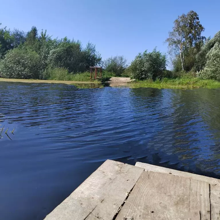 Участок в Новосибирская область, Новосибирский район, Кудряшовский ... - Фото 0
