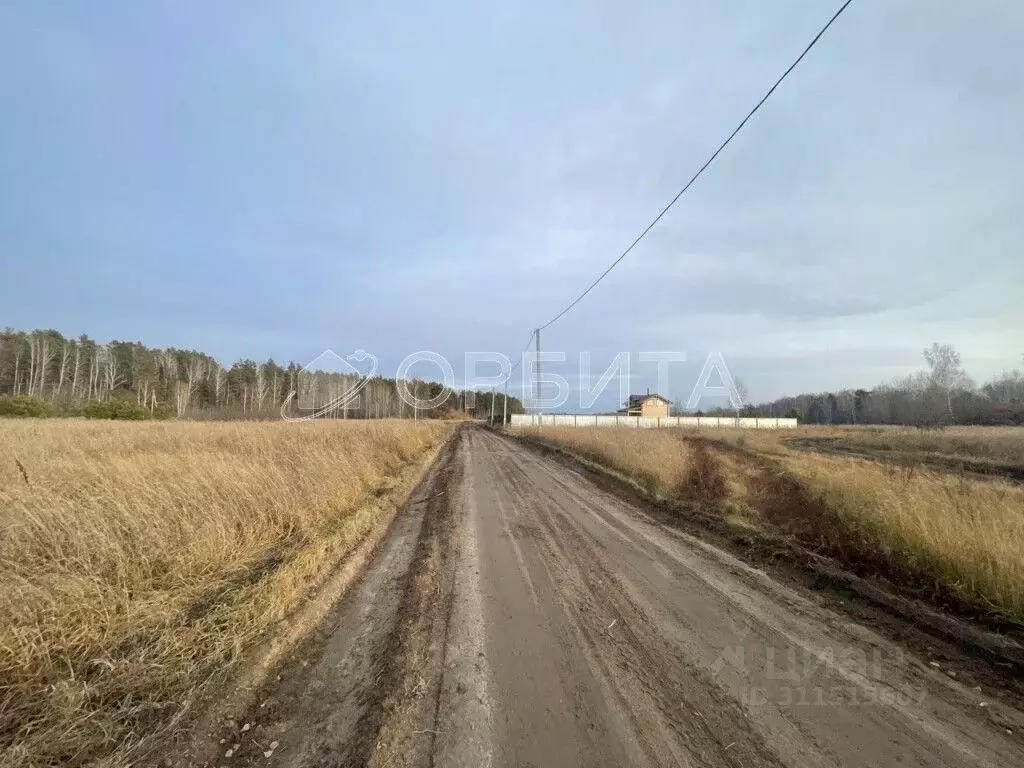 Участок в Тюменская область, Нижнетавдинский район, Геолог-2 СНТ  ... - Фото 0