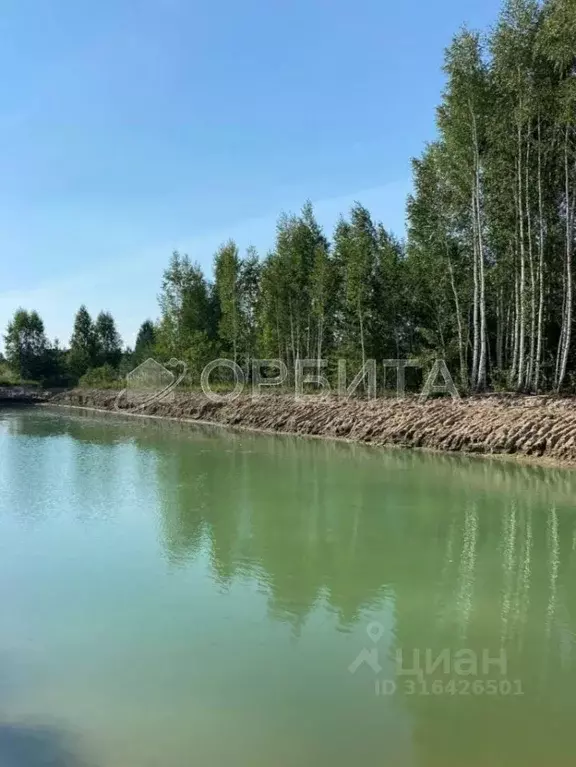 Участок в Тюменская область, Нижнетавдинский район, Строитель ТСН  ... - Фото 1