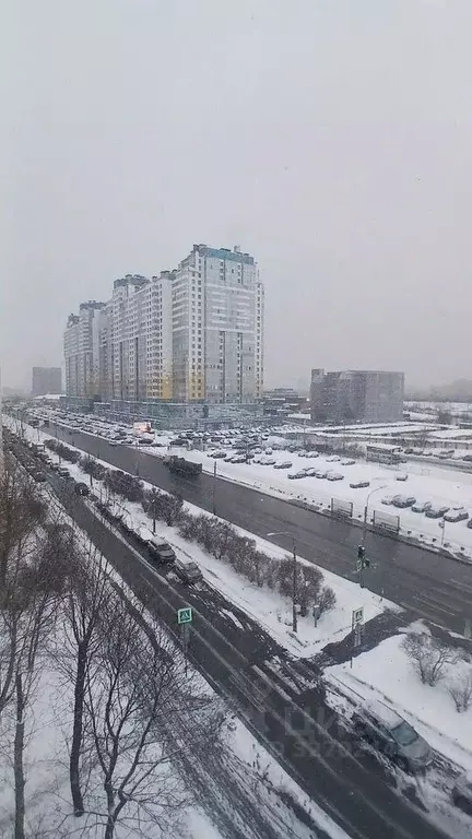 Комната Санкт-Петербург просп. Народного ополчения, 27 - Фото 1