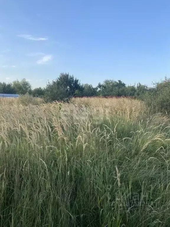 Участок в Воронежская область, Верхнехавский район, Малоприваловское ... - Фото 0