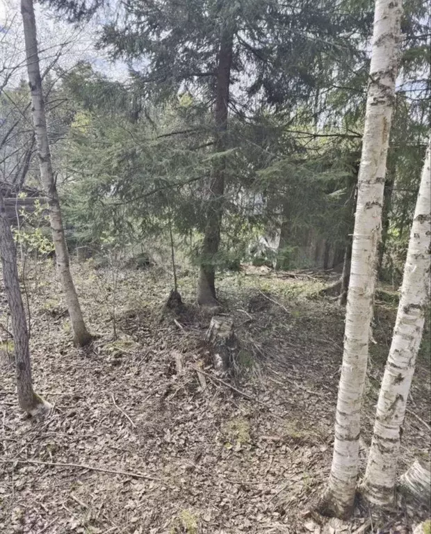 Участок в Ленинградская область, Гатчинский муниципальный округ, ... - Фото 1