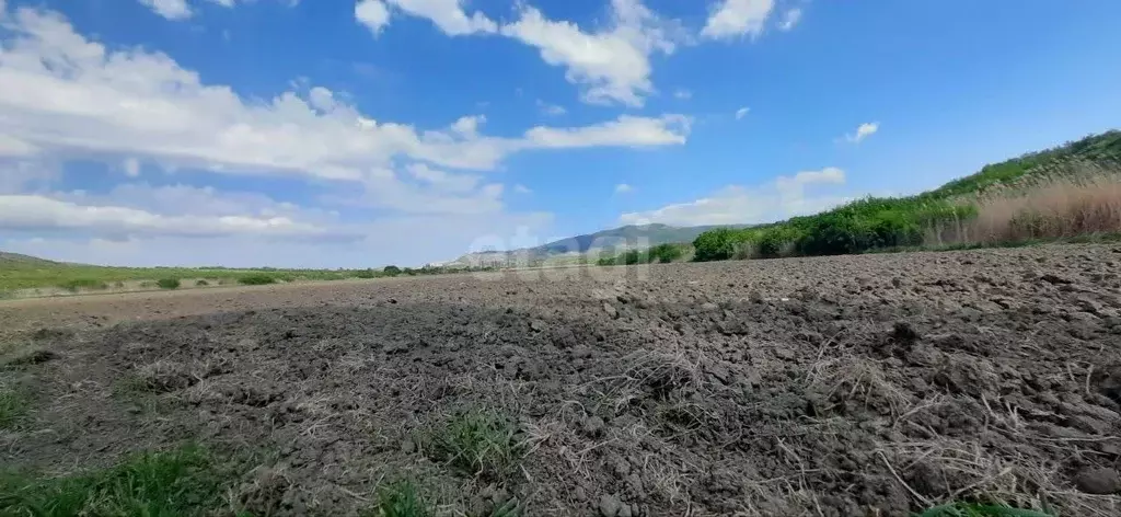 Участок в Крым, Белогорский район, с. Курское ул. Северная (252.0 ... - Фото 1