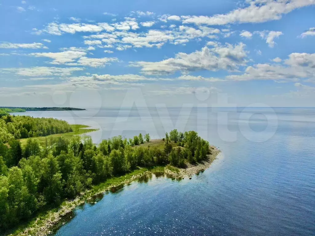 Участок 100 га (СНТ, ДНП) - Фото 1