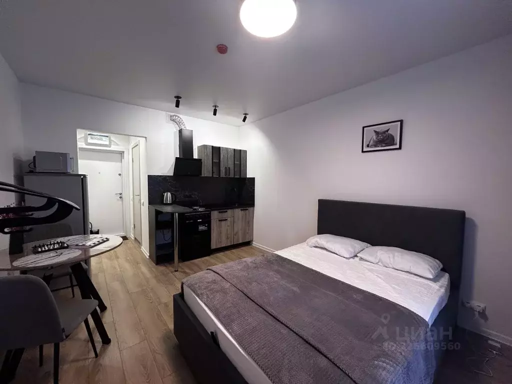 Студия Москва ул. Трехполье, 6к1 (20.0 м) - Фото 1