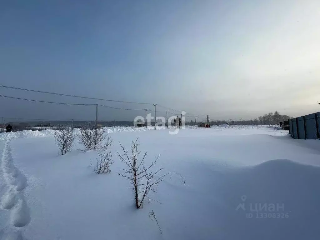 Участок в Новосибирская область, Тогучинский район, Биолог СТ ул. ... - Фото 1