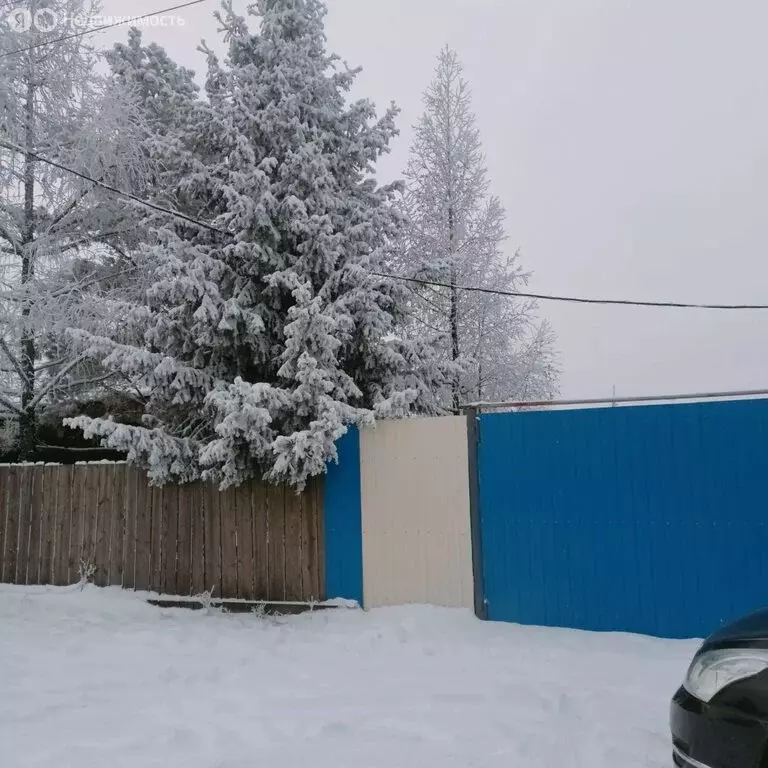 Дом в Кызыл, Дачная улица, 13 (38 м) - Фото 2