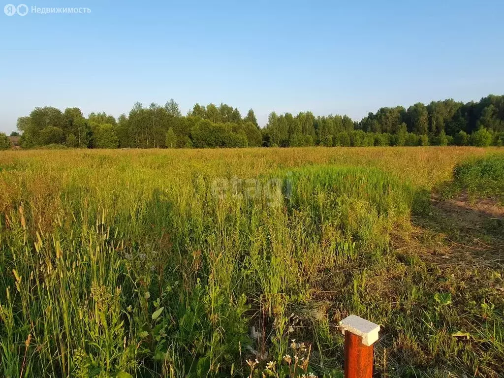 Участок в Медведевский район, Руэмское сельское поселение, деревня ... - Фото 0