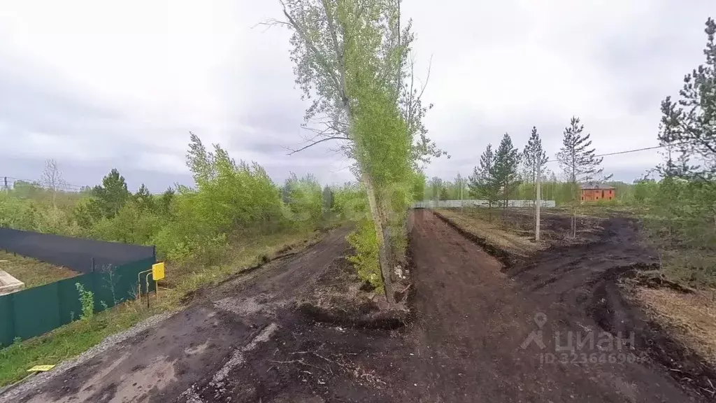 Участок в Тюменская область, Тюмень Звенящие Кедры Тюмени ДНП,  (7.0 ... - Фото 0