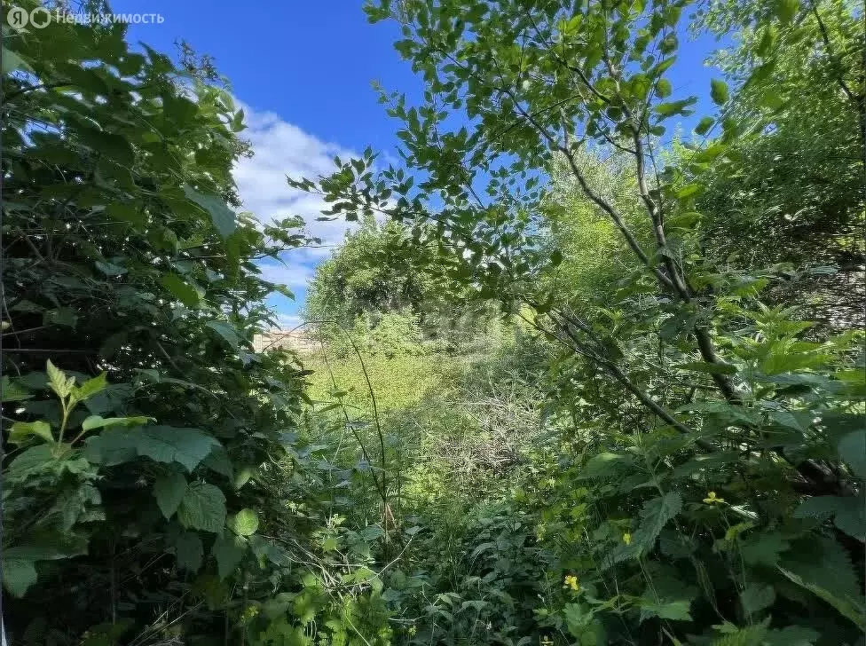 Участок в Йошкар-Ола, улица Мышино (10 м) - Фото 0