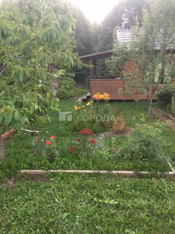 Участок в Московская область, Клин городской округ, Ветеран СНТ 174 ... - Фото 1