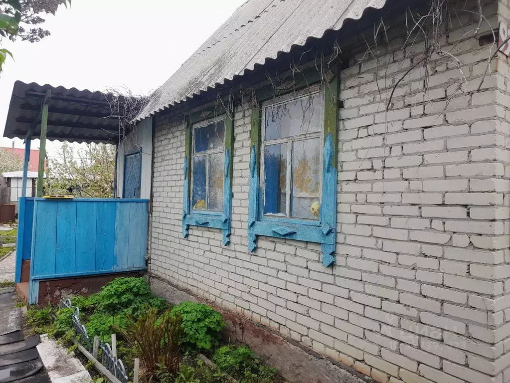 Дом в Курганская область, Курган Благодатное ТСН, 93 (20 м) - Фото 1