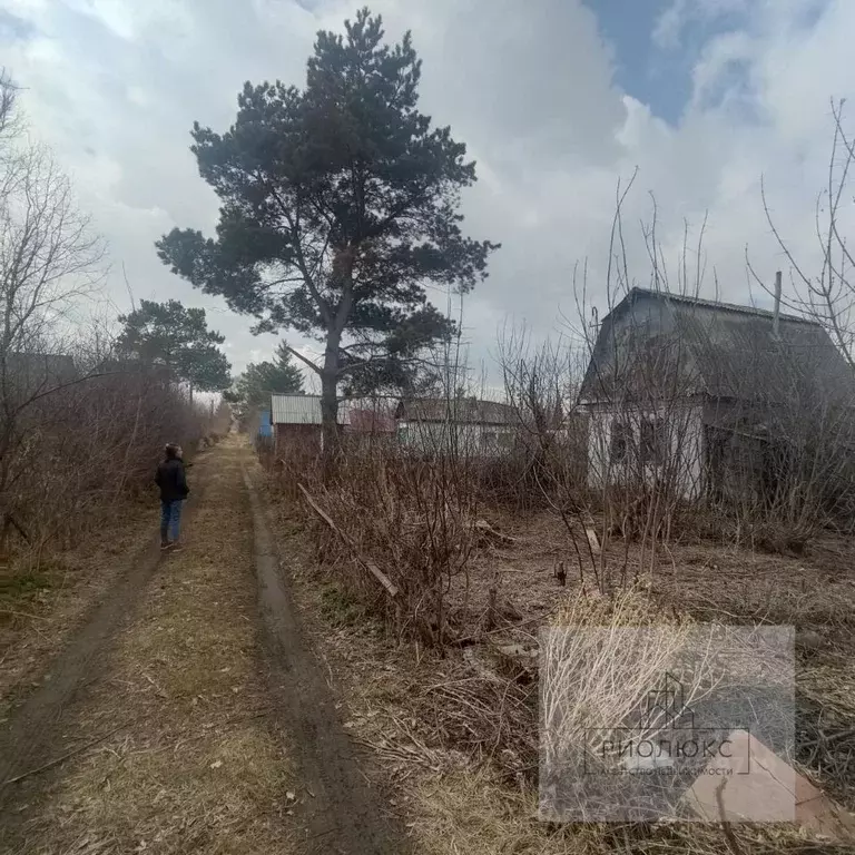 Дом в Челябинская область, Магнитогорск Строитель-1 садовое ... - Фото 1