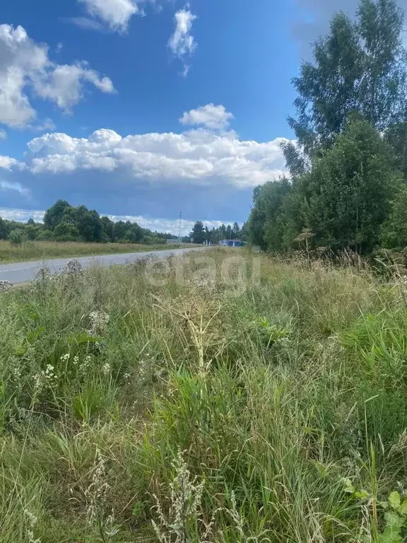 Участок в Псковская область, Печорский муниципальный округ, пос. ... - Фото 1