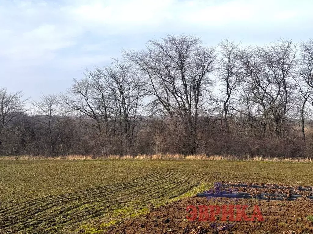 Участок в Краснодарский край, Крымск  (156.0 сот.) - Фото 1