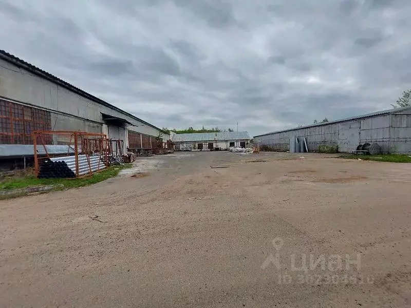 Склад в Московская область, Ступино городской округ, Михнево рп ул. ... - Фото 1