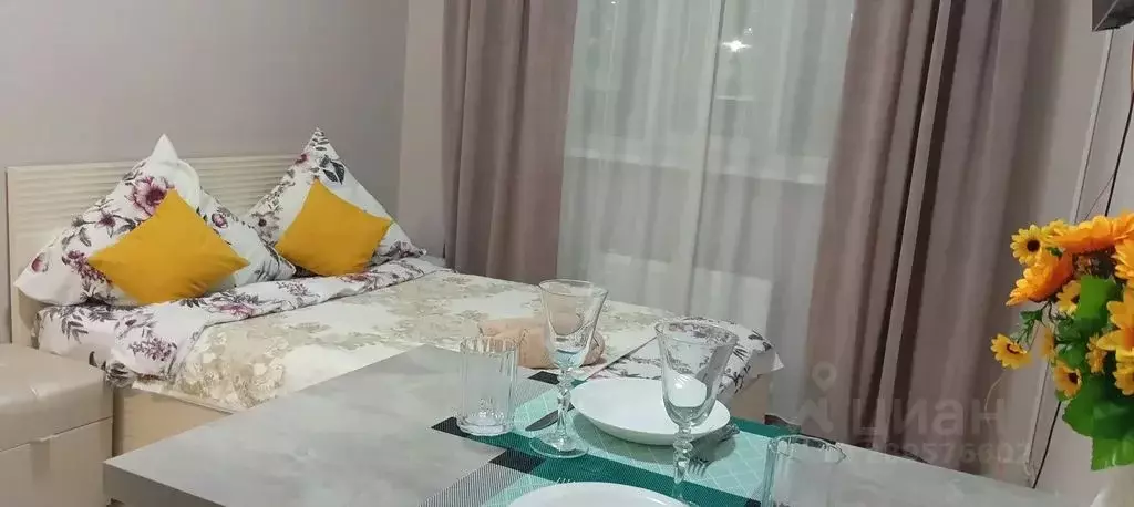 Студия Башкортостан, Уфа ул. Шафиева, 44/1 (24.0 м) - Фото 2