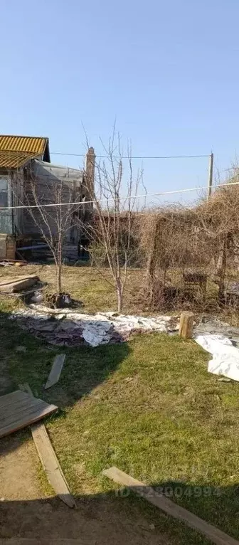Дом в Астраханская область, Астрахань Зеленая ул., 7 (48 м) - Фото 2