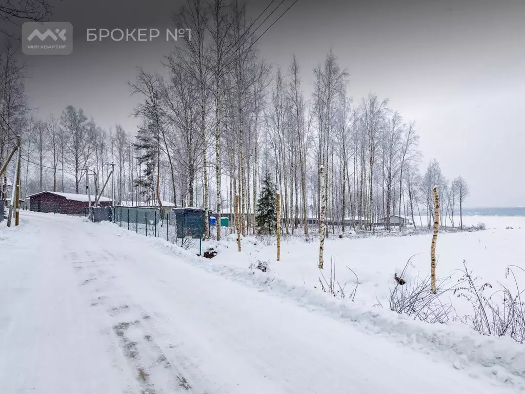 Участок в Ленинградская область, Выборгский район, Полянское с/пос, ... - Фото 1