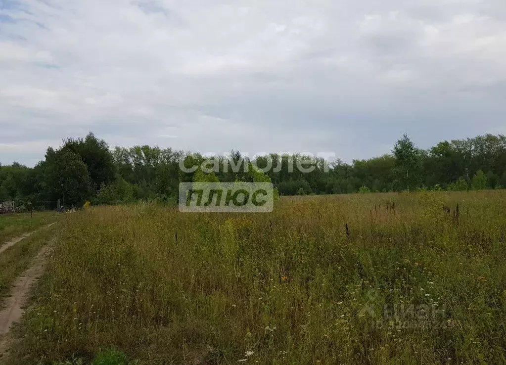 Участок в Рязанская область, Спасский район, Кирицкое с/пос, д. ... - Фото 1