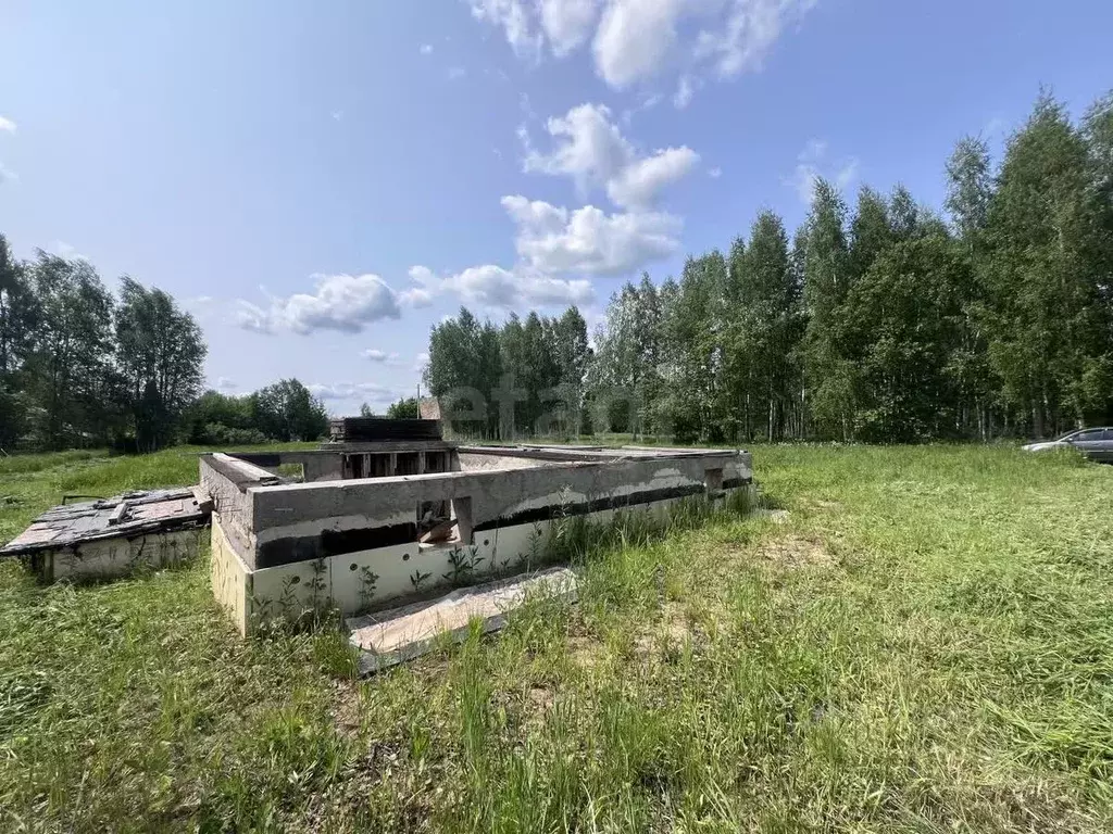 Участок в Костромская область, Костромской район, Самсоновское с/пос, ... - Фото 2