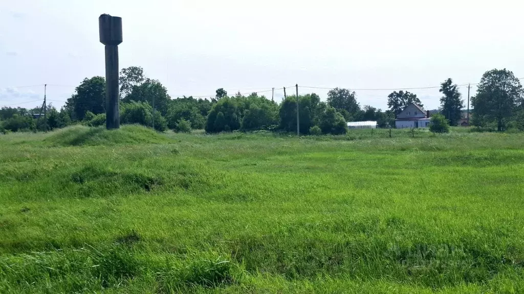 Участок в Калининградская область, Багратионовский муниципальный ... - Фото 1