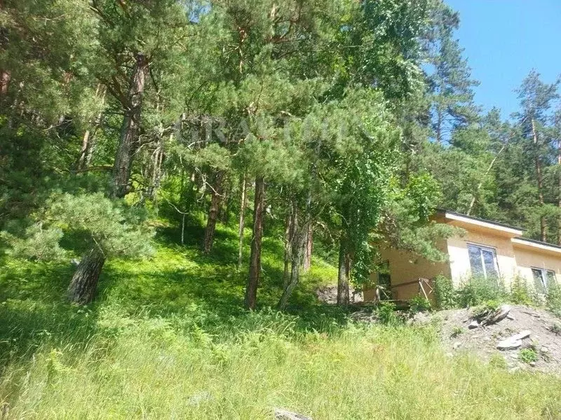 Участок в Алтай, Майминский район, с. Манжерок Подгорная ул. (10.0 ... - Фото 0