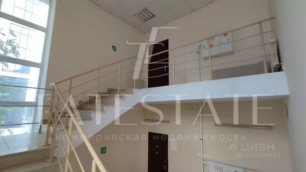 Помещение свободного назначения в Татарстан, Казань ул. Кул Гали, 10А ... - Фото 2