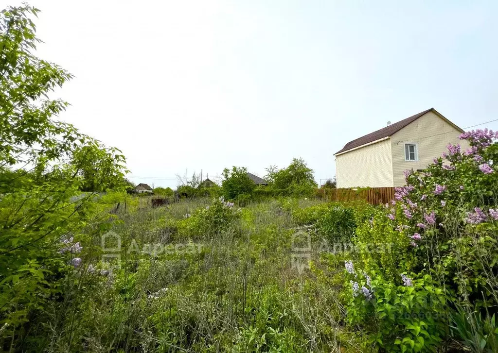 Участок в Волгоградская область, Волгоград Дзержинец СНТ, ... - Фото 1