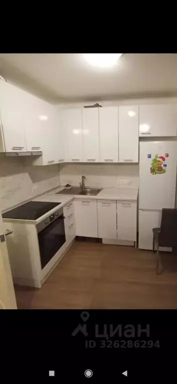 Студия Ленинградская область, Мурино Всеволожский район, просп. ... - Фото 1