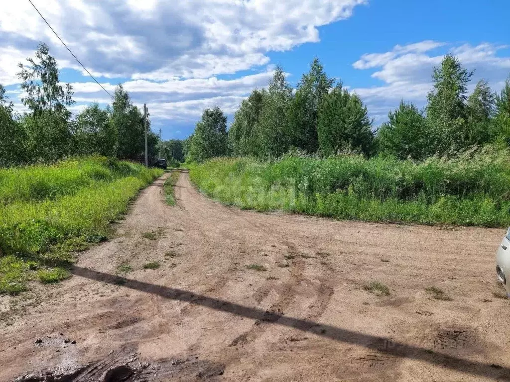 Участок в Челябинская область, Чебаркульский район, Теренкуль кп  ... - Фото 0