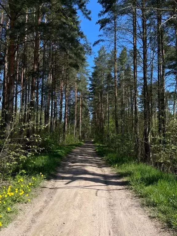 Дом в Ленинградская область, Кировское городское поселение  (96 м) - Фото 1