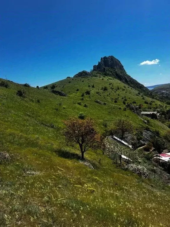 Участок в Крым, Феодосия муниципальный округ, Курортное пгт  (10.0 ... - Фото 1