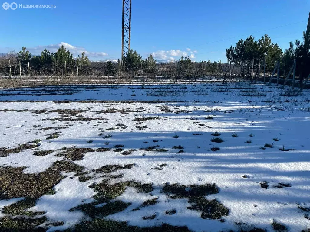 Участок в Добровское сельское поселение, СПК Долина (10 м) - Фото 1