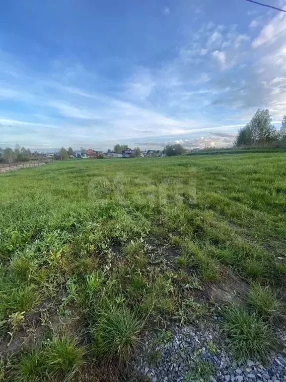 Участок в Кемеровская область, Кемеровский район, с. Андреевка ул. ... - Фото 2