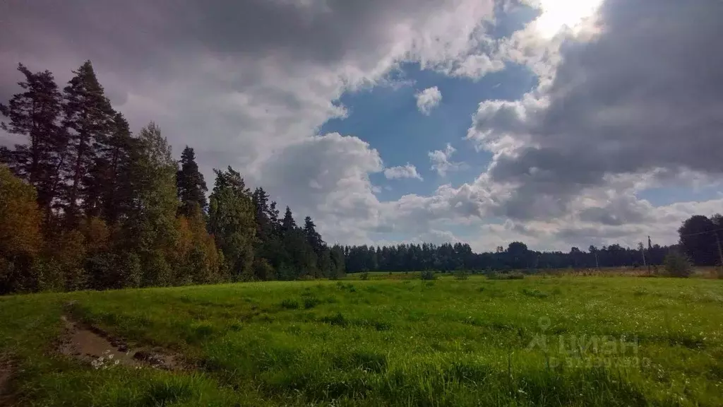 Участок в Ленинградская область, Выборгский район, Красносельское ... - Фото 1