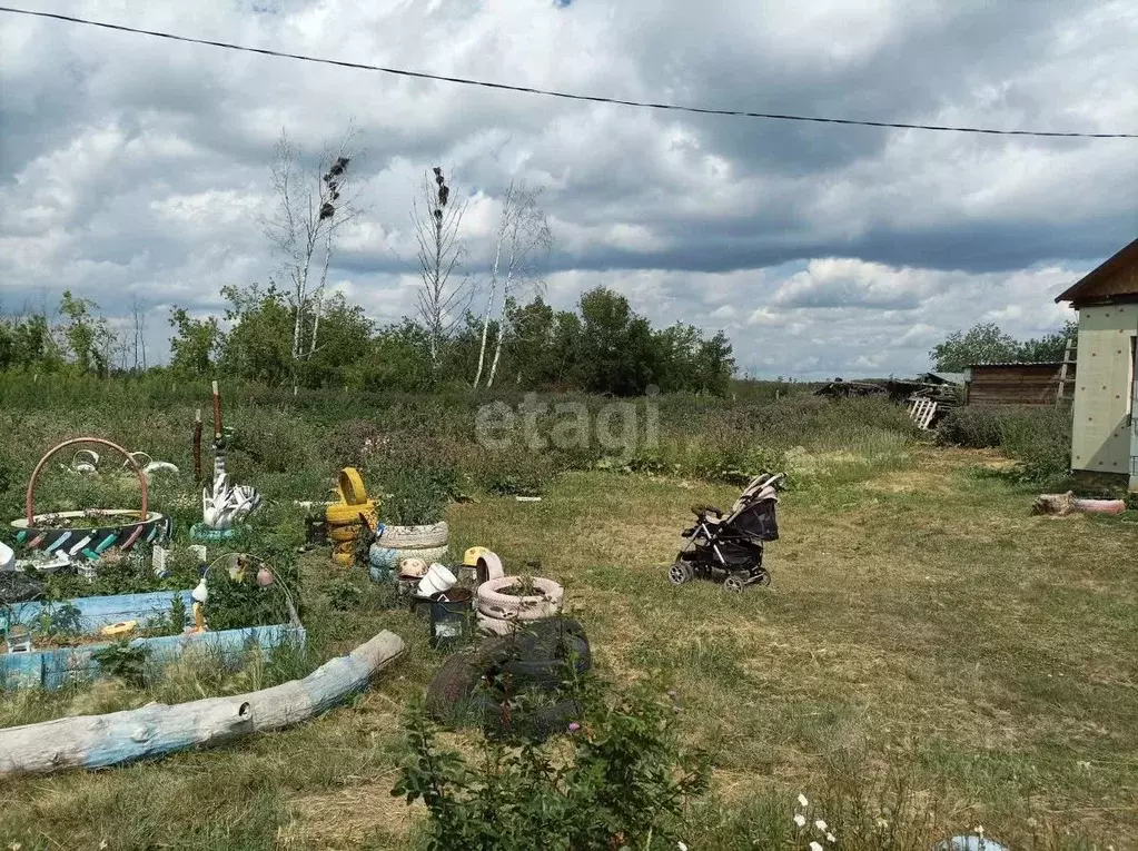 Участок в Омская область, Азовский Немецкий Национальный район, ... - Фото 0