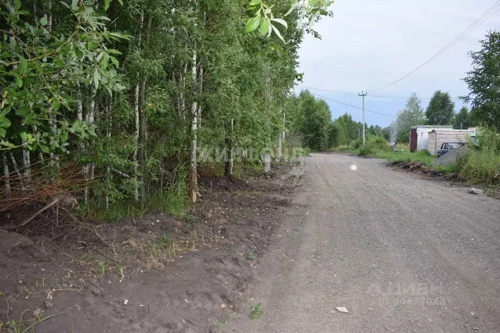 Участок в Новосибирская область, Новосибирский район, Станционный ... - Фото 0