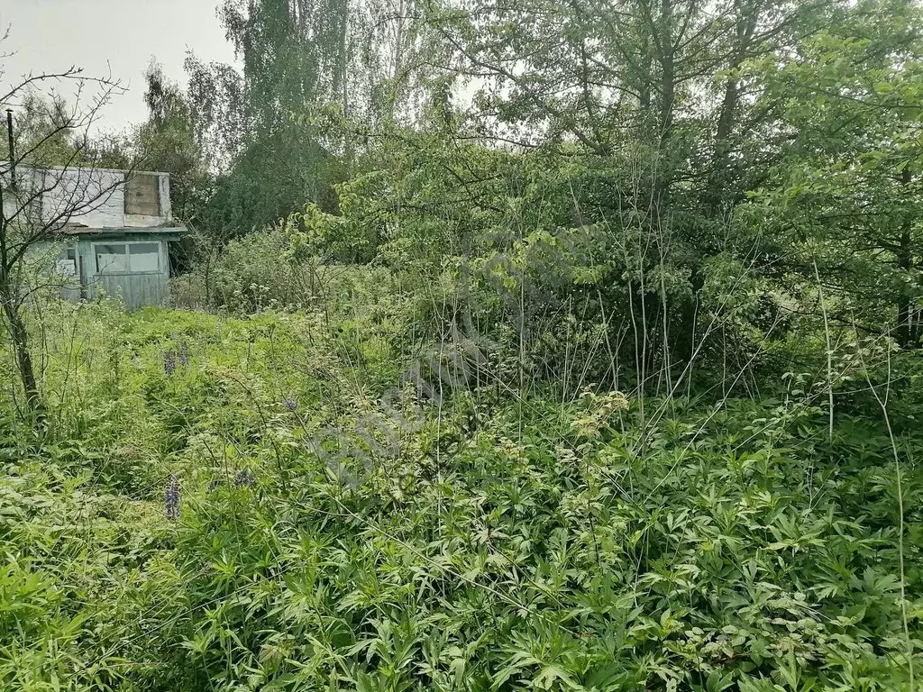 Дом в Московская область, Богородский городской округ, Ивушка СНТ  (20 ... - Фото 1