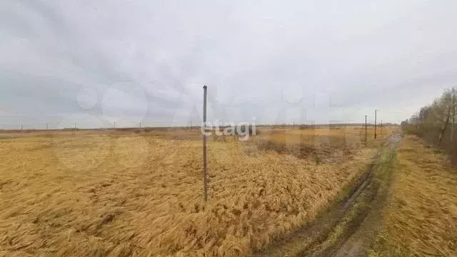 Участок 9,9 сот. (СНТ, ДНП) - Фото 0