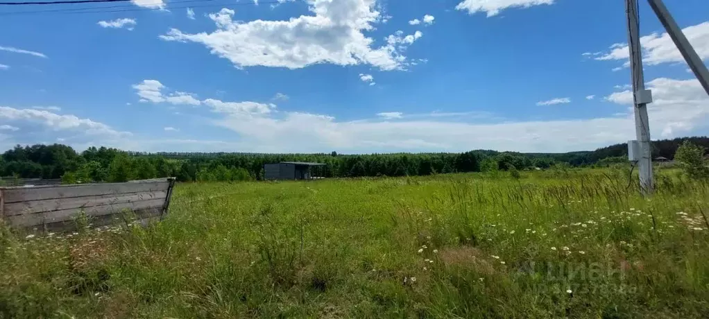 Участок в Нижегородская область, Богородский муниципальный округ, д. ... - Фото 1