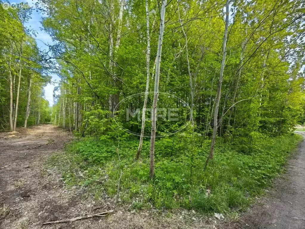 Участок в посёлок Комсомольск, Калининградская улица (12 м) - Фото 0