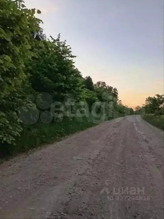 Участок в Башкортостан, Иглинский район, Чуваш-Кубовский сельсовет, ... - Фото 2