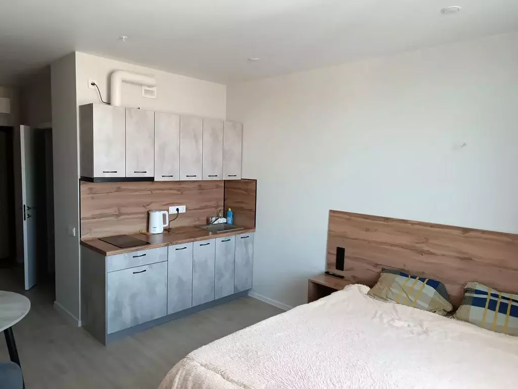 1-к кв. Новосибирская область, Новосибирск ул. Кирова, 113/2 (25.0 м) - Фото 1