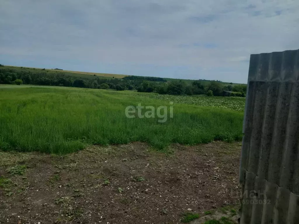 Участок в Курская область, Мантуровский район, Останинский сельсовет, ... - Фото 1